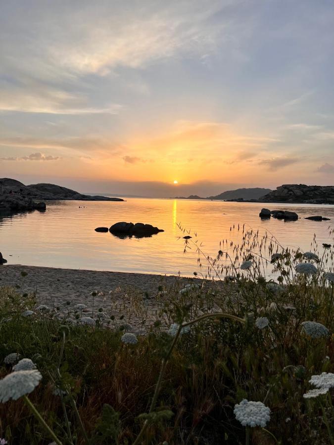 Il Maestrale Apartamento La Maddalena  Exterior foto